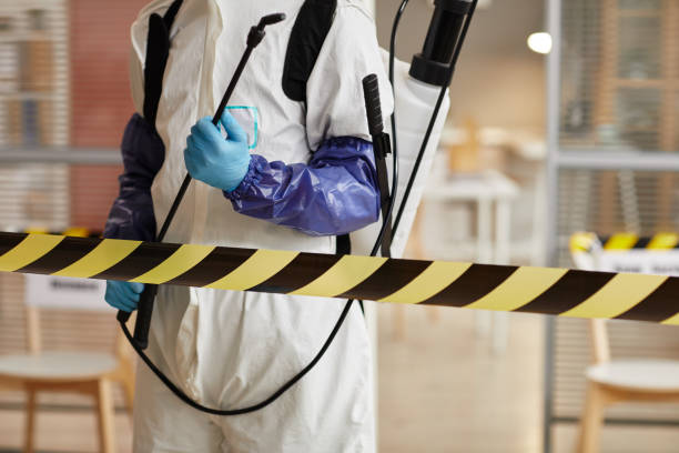 Professional Biohazard technician working in Mount Vernon, TX